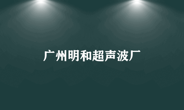 广州明和超声波厂