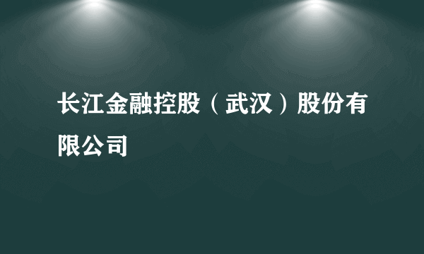 长江金融控股（武汉）股份有限公司