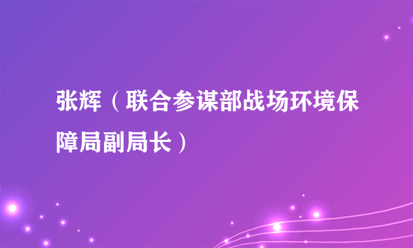 张辉（联合参谋部战场环境保障局副局长）