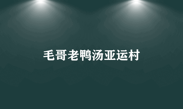 毛哥老鸭汤亚运村