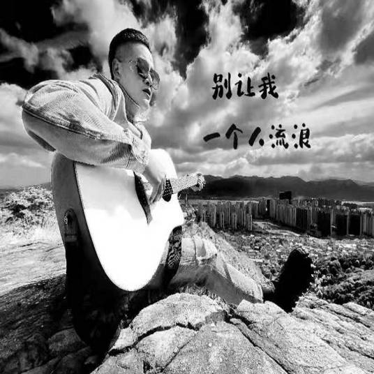 别让我一个人流浪