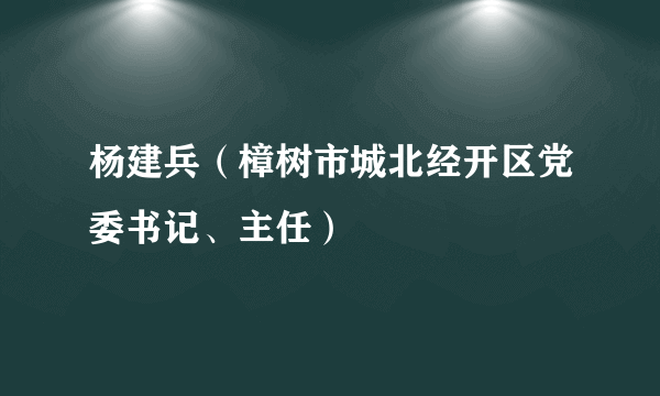 杨建兵（樟树市城北经开区党委书记、主任）