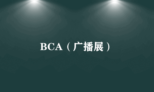 BCA（广播展）
