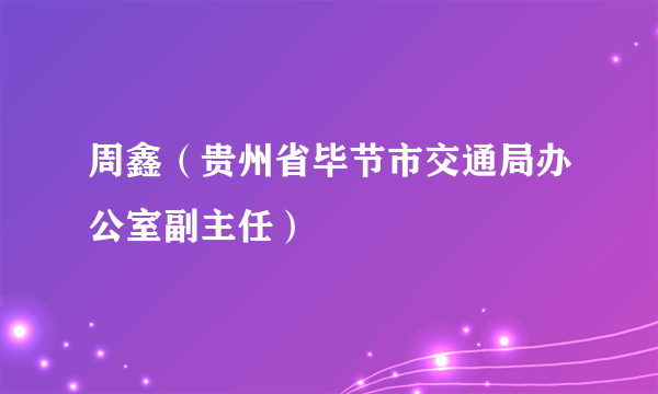 周鑫（贵州省毕节市交通局办公室副主任）