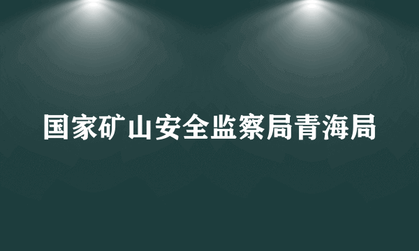 国家矿山安全监察局青海局