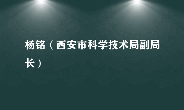 杨铭（西安市科学技术局副局长）