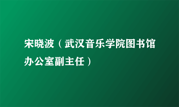 宋晓波（武汉音乐学院图书馆办公室副主任）