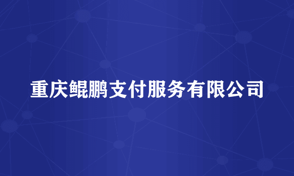 重庆鲲鹏支付服务有限公司