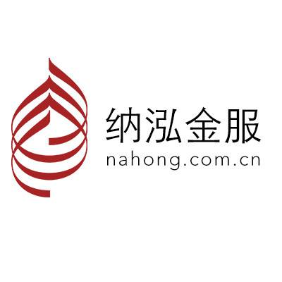 纳泓互联网金融信息服务（上海）有限公司