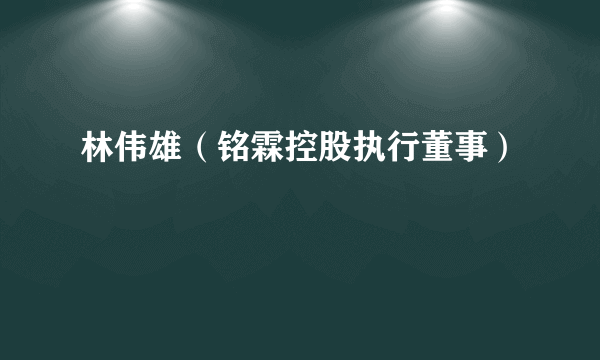 林伟雄（铭霖控股执行董事）