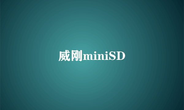 威刚miniSD