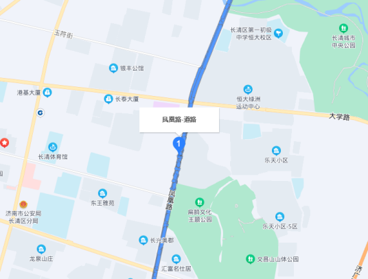 凤凰路（济南市长清区凤凰路）