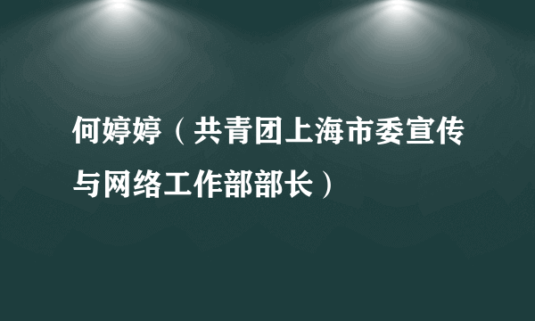 何婷婷（共青团上海市委宣传与网络工作部部长）