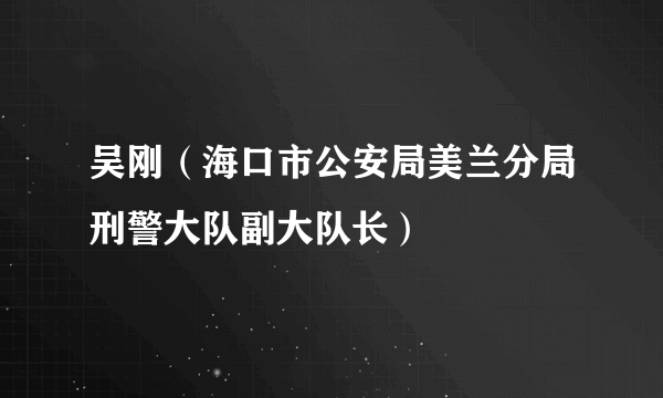 吴刚（海口市公安局美兰分局刑警大队副大队长）