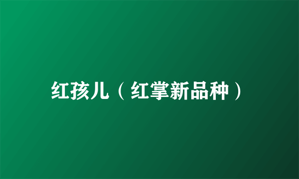 红孩儿（红掌新品种）