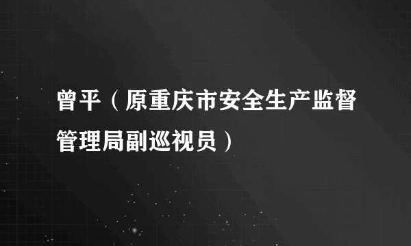 曾平（原重庆市安全生产监督管理局副巡视员）