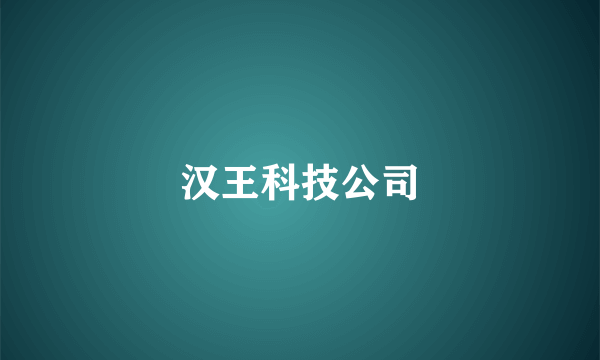 汉王科技公司