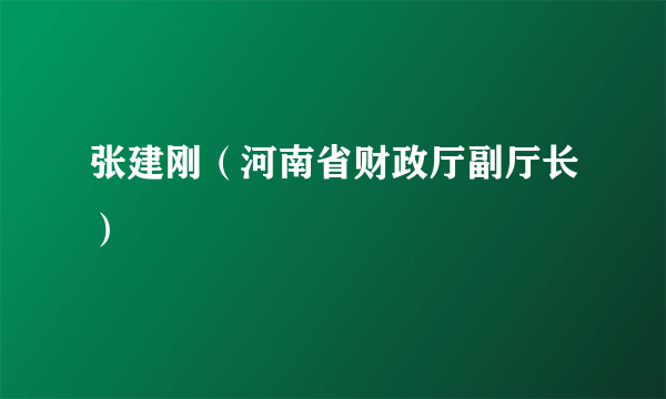 张建刚（河南省财政厅副厅长）