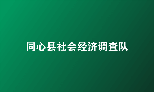 同心县社会经济调查队