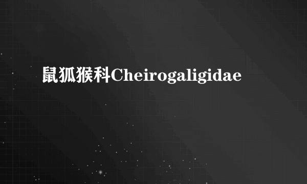 鼠狐猴科Cheirogaligidae