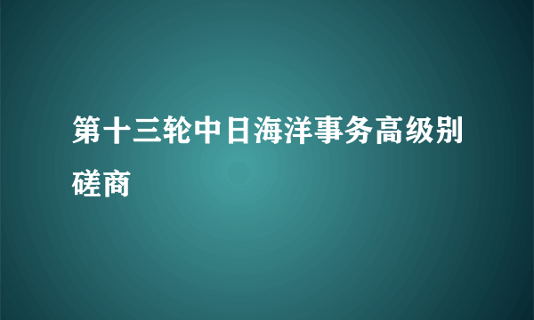 第十三轮中日海洋事务高级别磋商