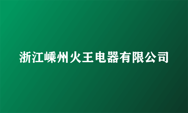 浙江嵊州火王电器有限公司