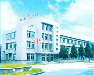 鞍山自控仪表（集团）股份有限公司