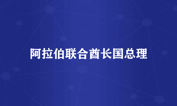 阿拉伯联合酋长国总理
