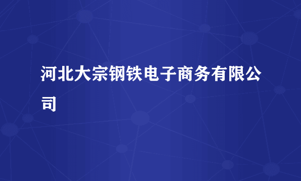河北大宗钢铁电子商务有限公司