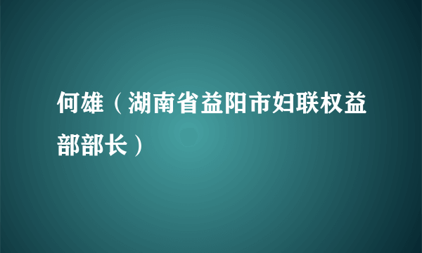 何雄（湖南省益阳市妇联权益部部长）