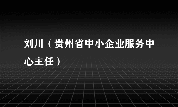 刘川（贵州省中小企业服务中心主任）