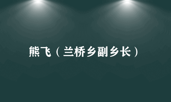 熊飞（兰桥乡副乡长）