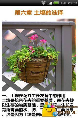 家庭花卉养殖知识大全