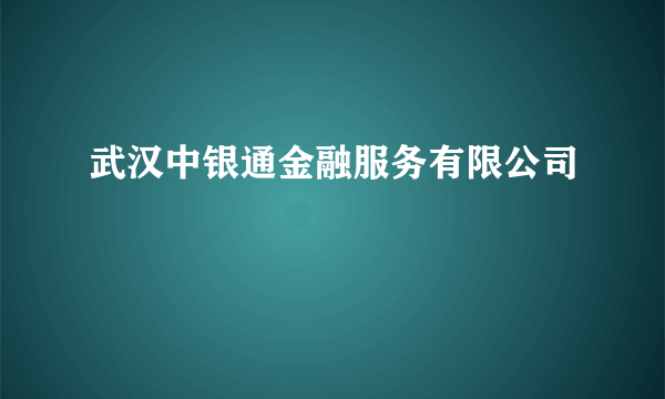 武汉中银通金融服务有限公司