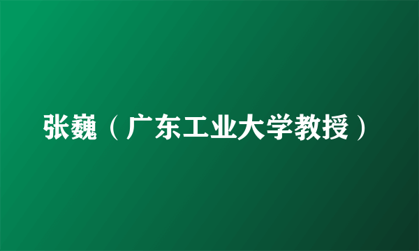 张巍（广东工业大学教授）