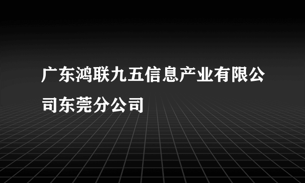 广东鸿联九五信息产业有限公司东莞分公司