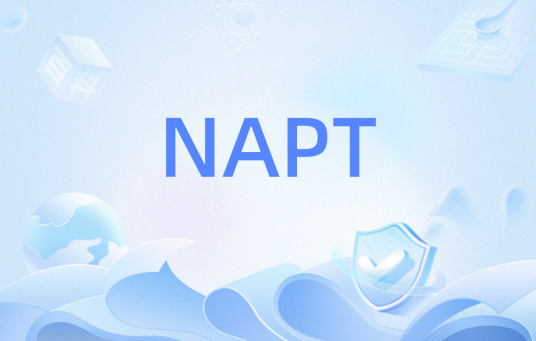 NAPT（网络端口地址转换）
