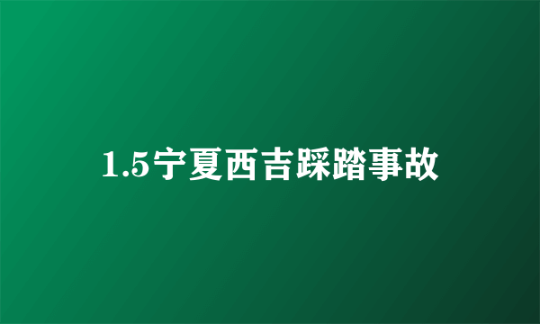 1.5宁夏西吉踩踏事故