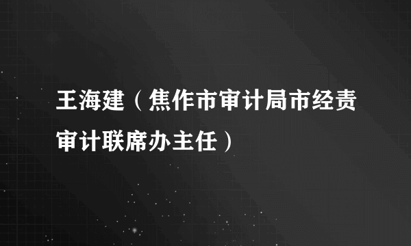 王海建（焦作市审计局市经责审计联席办主任）