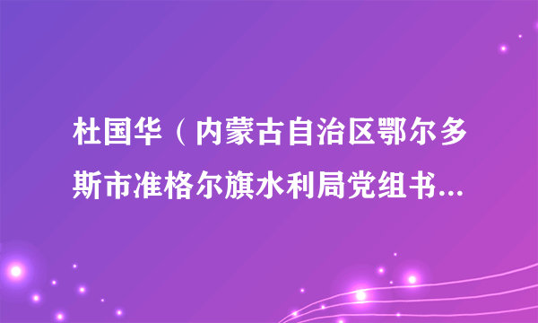 杜国华（内蒙古自治区鄂尔多斯市准格尔旗水利局党组书记、局长）