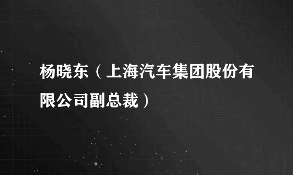 杨晓东（上海汽车集团股份有限公司副总裁）