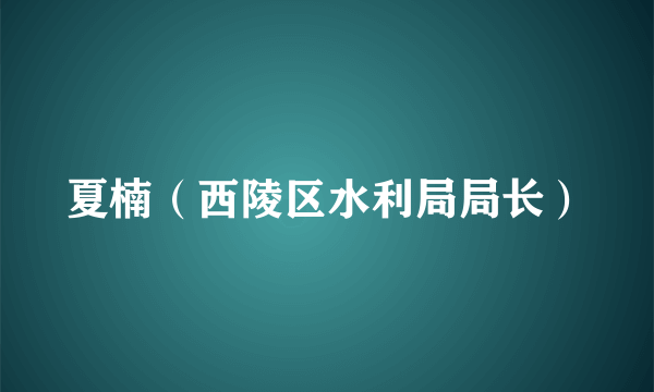 夏楠（西陵区水利局局长）