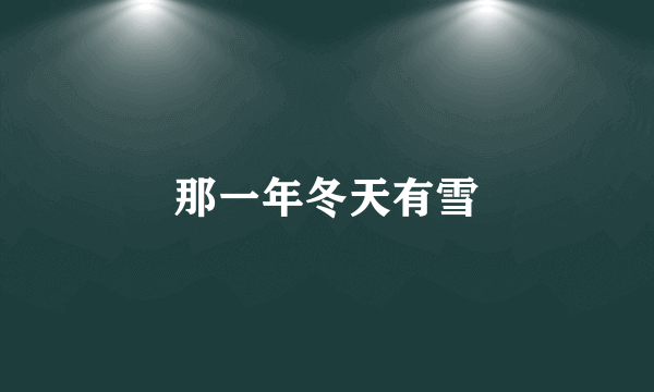 那一年冬天有雪