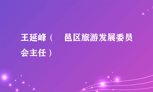 王延峰（鄠邑区旅游发展委员会主任）