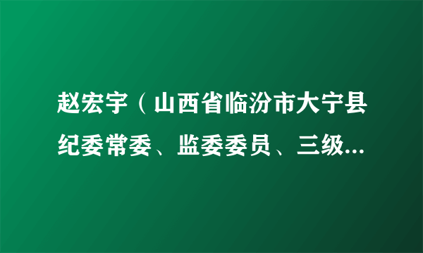 赵宏宇（山西省临汾市大宁县纪委常委、监委委员、三级主任科员）