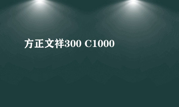方正文祥300 C1000