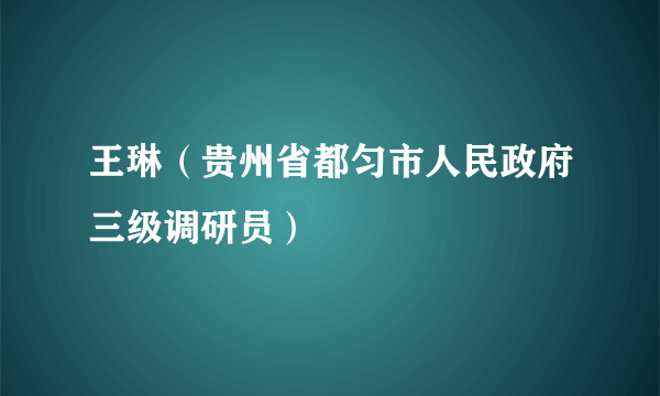 王琳（贵州省都匀市人民政府三级调研员）