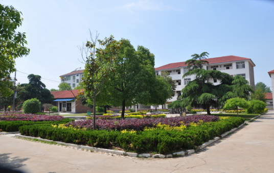 文集镇