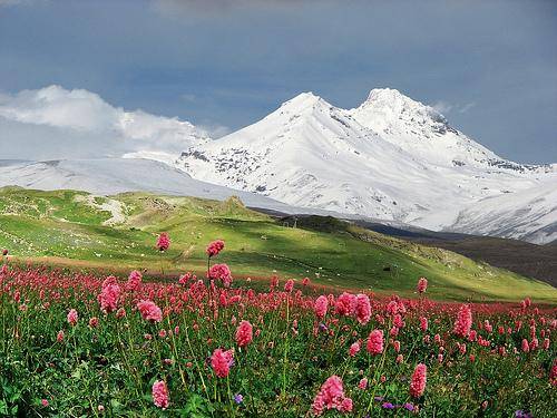 西高加索山保护区