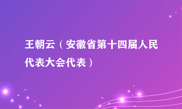王朝云（安徽省第十四届人民代表大会代表）